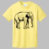 Best Selling Youth Cotton Tee Thumbnail