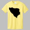 Best Selling Youth Cotton Tee Thumbnail