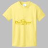 Best Selling Youth Cotton Tee Thumbnail